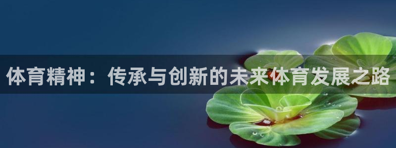 体育精神：传承与创新的未来体育发展之路