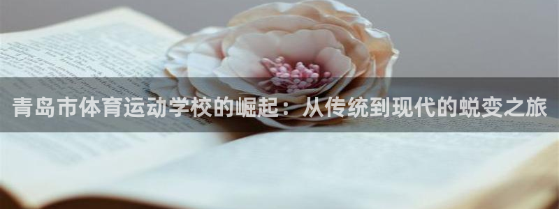 青岛市体育运动学校的崛起：从传统到现代的蜕变之旅