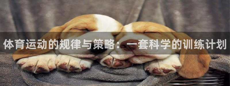 体育运动的规律与策略：一套科学的训练计划