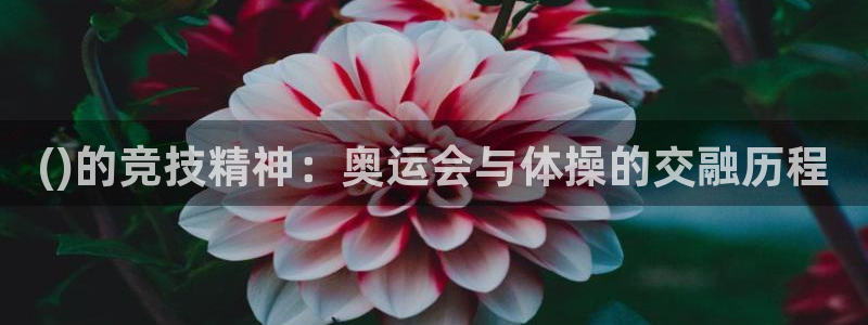 ()的竞技精神：奥运会与体操的交融历程