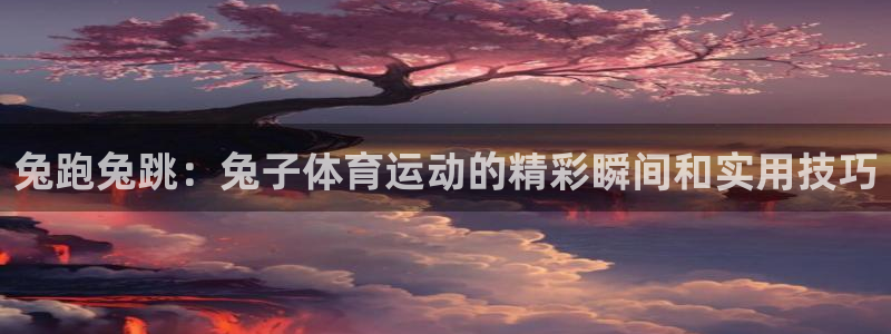兔跑兔跳：兔子体育运动的精彩瞬间和实用技巧
