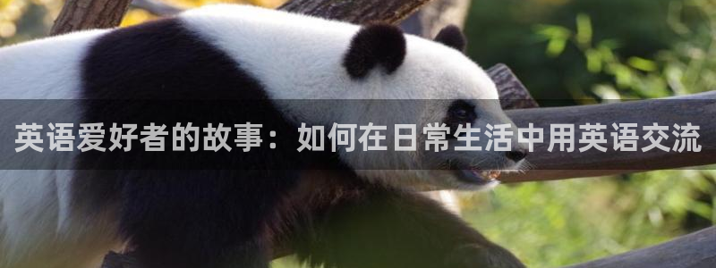 英语爱好者的故事：如何在日常生活中用英语交流