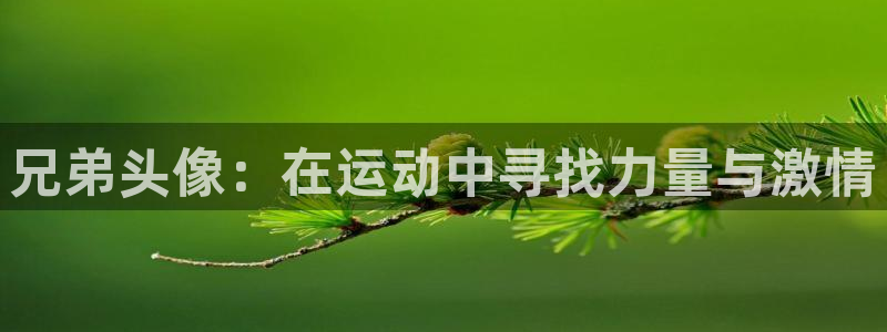 兄弟头像：在运动中寻找力量与激情