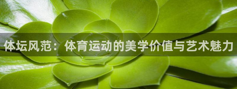 体坛风范：体育运动的美学价值与艺术魅力